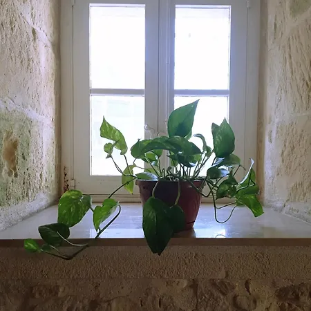 Casa de Férias Virginia *