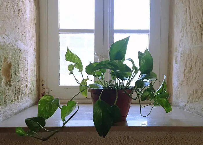 Vakantiehuis Virginia *